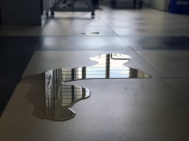 Best 24-hour water damage restoration  in Altamont, KS